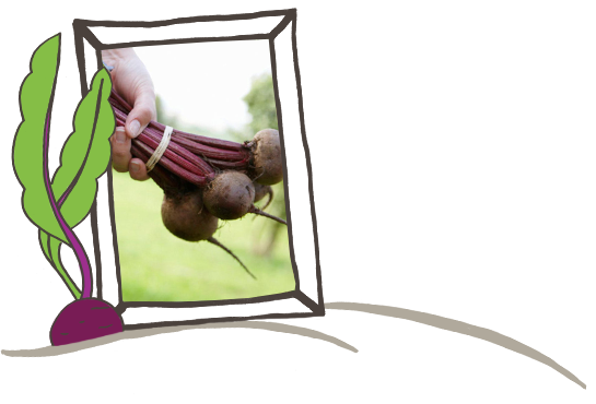 lovebeets-our-story-frame
